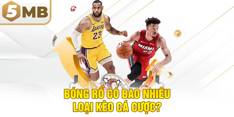 Bóng Rổ Có Bao Nhiêu Loại Kèo Cá Cược?