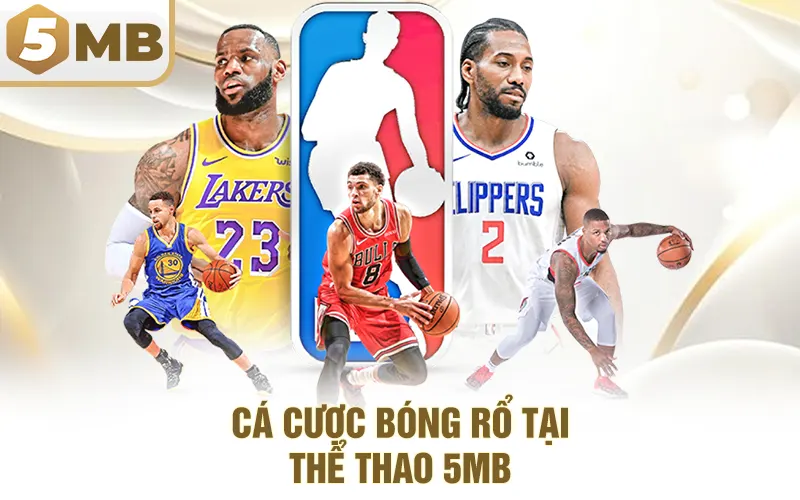 Cá Cược Bóng Rổ Tại Thể Thao 5MB