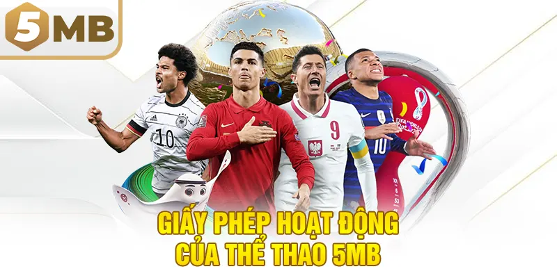 Giấy Phép Hoạt Động Của Thể Thao 5MB