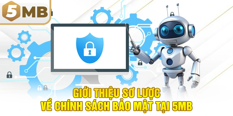 Giới Thiệu Sơ Lược Về Chính Sách Bảo Mật Tại 5MB