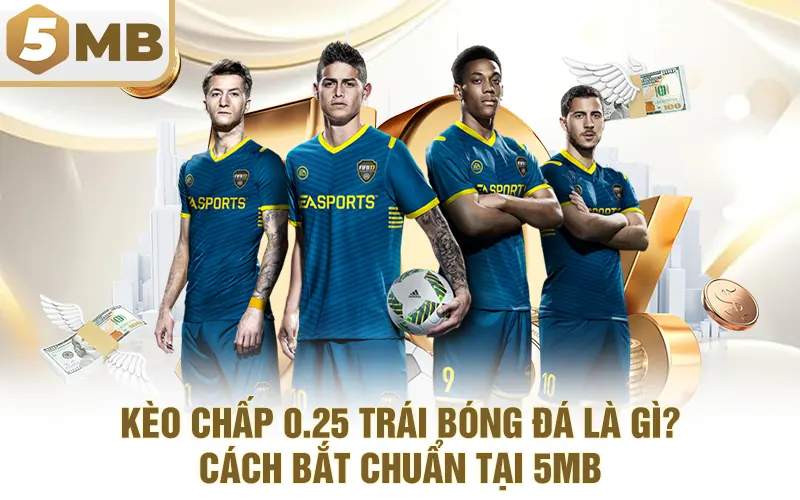 Kèo Chấp 0.25 Trái Bóng Đá Là Gì? Cách Bắt Chuẩn Tại 5MB