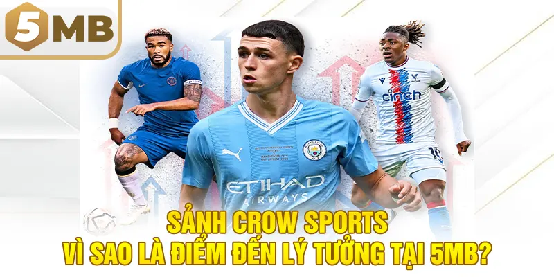 Sảnh Crow Sports – Vì Sao Là Điểm Đến Lý Tưởng Tại 5MB?
