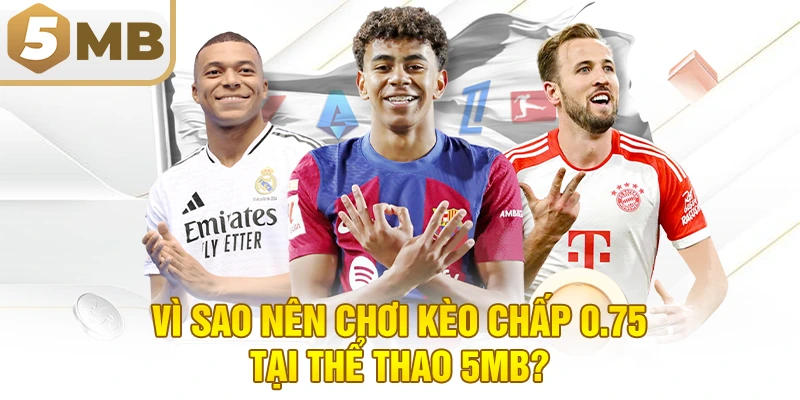 Vì Sao Nên Chơi Kèo Chấp 0.75 Tại Thể Thao 5MB?